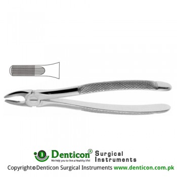 English Pattern Tooth Extracting Forcep Fig. 1 (For Uper Centrals, Canines and Roots) Stainless Steel, Standard